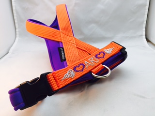 Touren Geschirr nach Mass