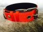 Preview: Halsband mit Schnalle