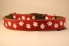 Preview: HALSBAND Pfoten