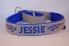 Preview: Zugstop Halsband bestickt