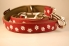 Preview: HALSBAND Pfoten