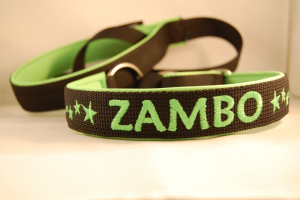 Preview: Agility Leine mit Wunschbestickung