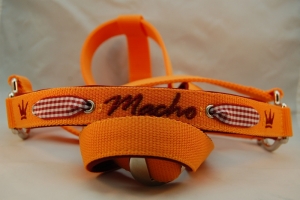 Preview: Pferdehalfter "Alpenstil mit Namen"