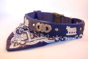 2 in 1: Appenzeller Halsband mit Halstuch