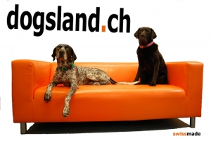 Halfter gepolstert Dogsland Flex