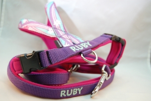 Preview: Kreuz-Geschirr mit Designband