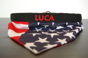 Preview: Hundehalstuch Spezial Edition