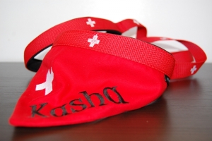 Preview: Hundehalstuch Spezial Edition