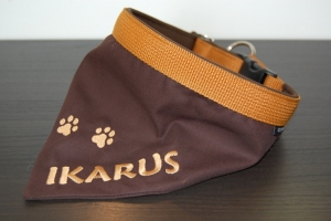 Preview: 2 in 1: Halstuch und Zugstophalsband mit Bestickung