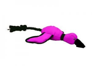 Flying Animals, groß