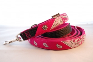 2 in 1: Glarner Halsband mit Halstuch