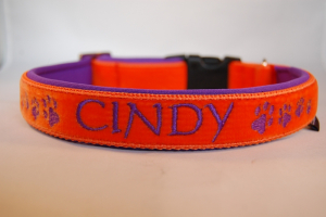 Halsband FLAUSCHI bestickt