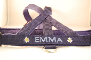 Preview: Kreuz-Geschirr mit Wunschbestickung