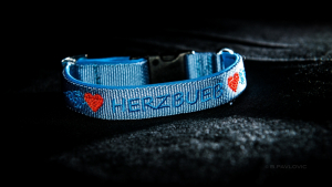 Halsband HERZBUEB