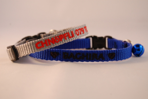 Katzenhalsband "NYLON" mit Bestickung