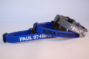 Preview: Katzenhalsband "NYLON" mit Bestickung