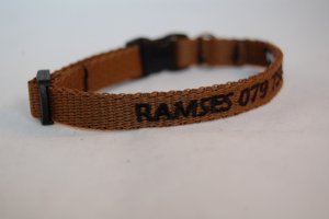 Preview: Katzenhalsband "NYLON" mit Bestickung