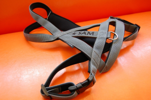 Preview: Kreuz-Geschirr mit Wunschbestickung