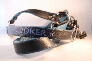 Preview: Pferde Lederhalfter mit Wunschbestickung