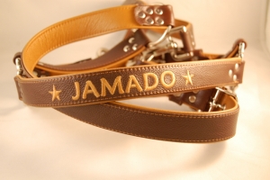 Preview: Pferde Lederhalfter mit Wunschbestickung