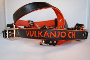 Preview: Pferde Lederhalfter mit Wunschbestickung