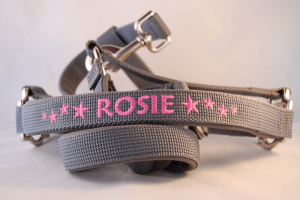 Pferde-Halfter gepolstert mit Wunschbestickung