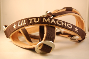 Pferde "SOFTLY" Halfter mit Wunschbestickung