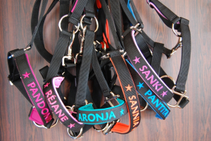 Preview: Pferde-Halfter gepolstert mit Wunschbestickung