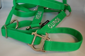 Pferde-Halfter mit Wunschbestickung