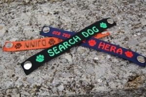 Preview: Wechsellogo mit Druckknopf