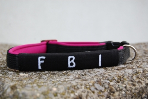 Dogsland Logos mit Klett