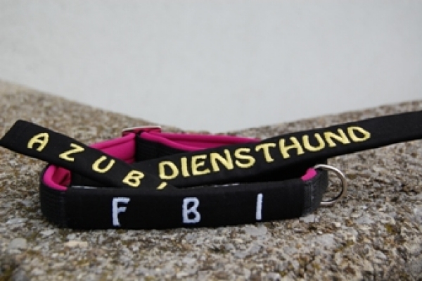 Dogsland Logos mit Klett