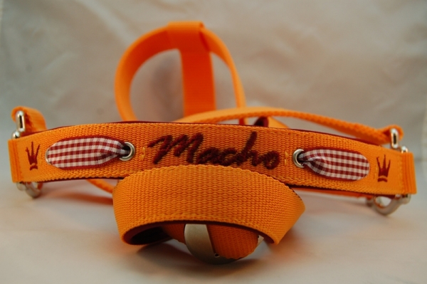 Pferdehalfter "Alpenstil mit Namen"