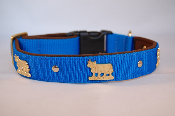 Appenzeller Halsband nach Wunsch