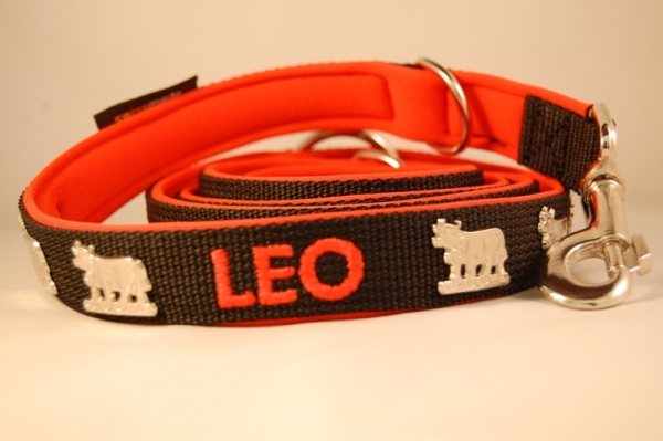 Appenzeller Halsband nach Wunsch