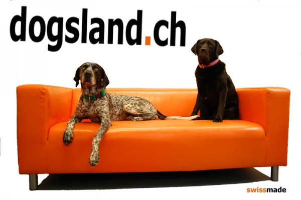 Halfter gepolstert Dogsland Flex