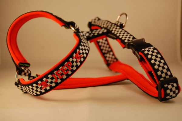 HALSBAND Checkerflag