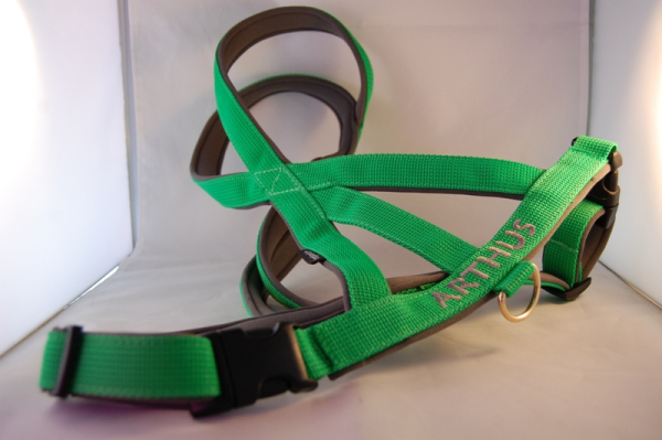 Doppelkreuz-Geschirr mit Wunschbestickung