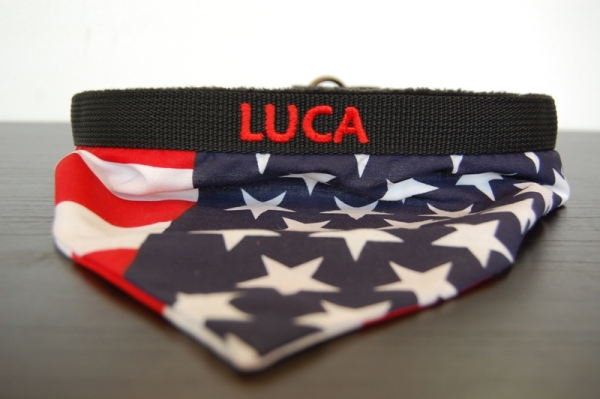 Hundehalstuch Spezial Edition