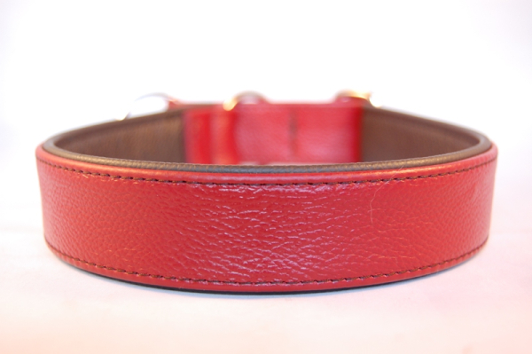 Halsband Leder mit Zugstop