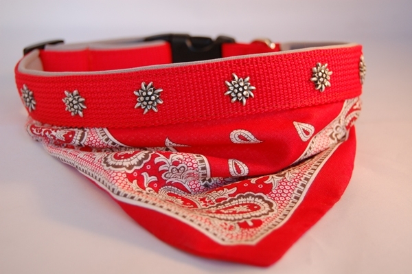 2 in 1: Glarner Halsband mit Halstuch