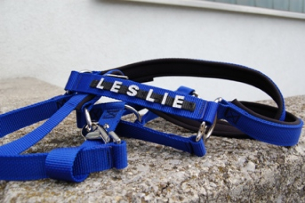 Pferde-Halfter "SOFTLY" mit Strass-Buchstaben