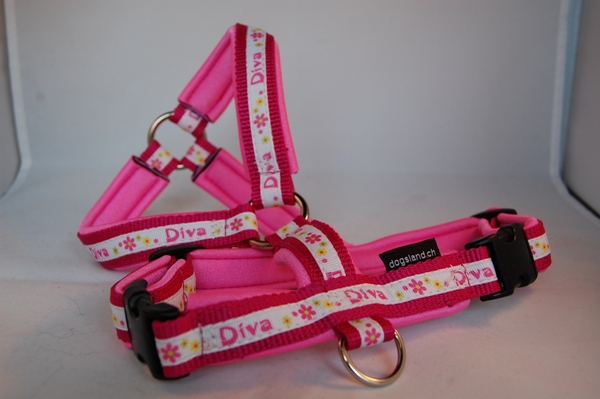 Tourengeschirr "Highflex" mit Designband