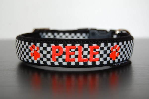 HALSBAND Checkerflag