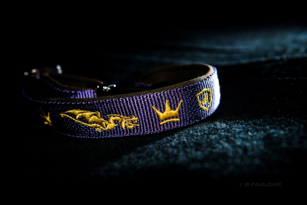 HALSBAND DRAGONHEART