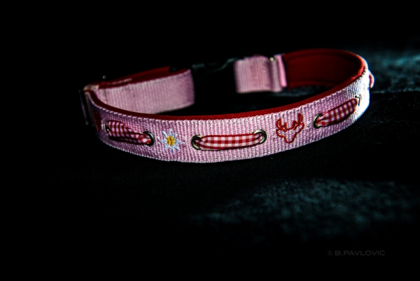 HALSBAND ALPENFIEBER