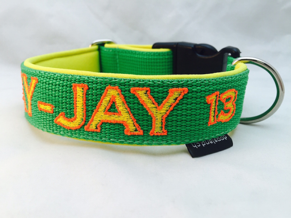 Halsband College Style