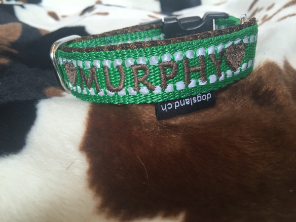 Sport Mesh Halsband mit Wunschtext