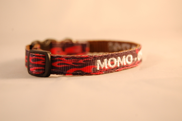 Katzenhalsband RACING FLAMES mit Bestickung