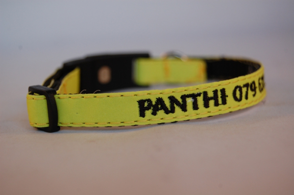 Katzenhalsband "REFLEX" mit Bestickung